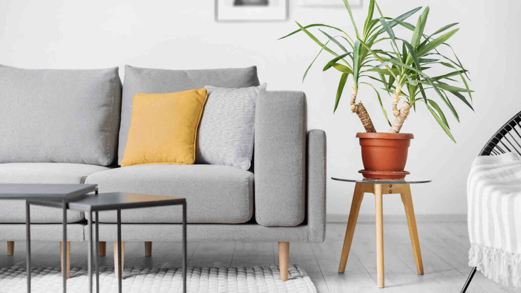 Clooods-sofa-adapts=to-you